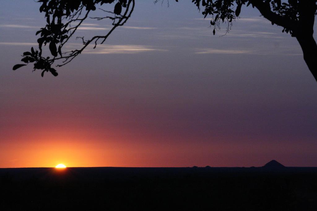 Tingala Lodge - Bed In The Bush بهالابوروا المظهر الخارجي الصورة