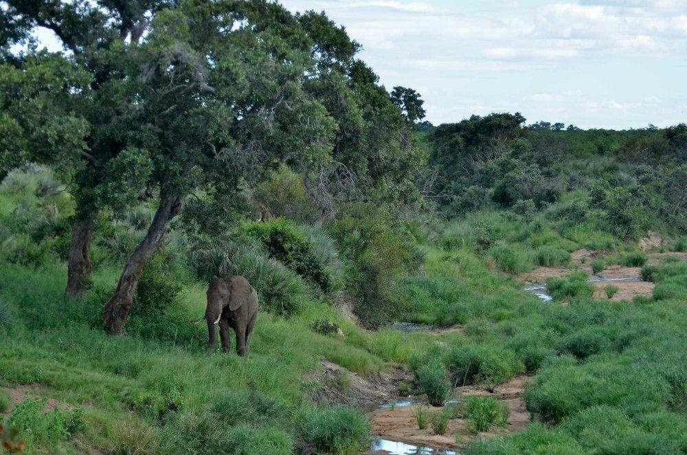 Tingala Lodge - Bed In The Bush بهالابوروا المظهر الخارجي الصورة